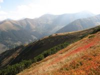Jednak Dolina Chochołowska ma swoje tajemnice po kolejnej godzinie marszu wita nas czerwień brusznic i przebłyskujące przez chmury słońce.